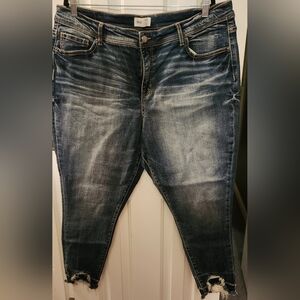 New withOUT tag Buckle Gabby high rise curvy fit ankle skinny jeans